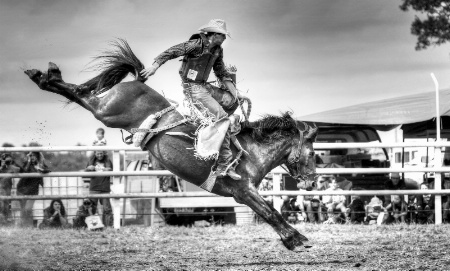 Saddle Bronc Rider