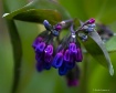 My Favorite Sprin...