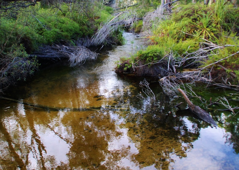 Secret pool