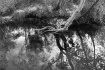 Reflections B&W