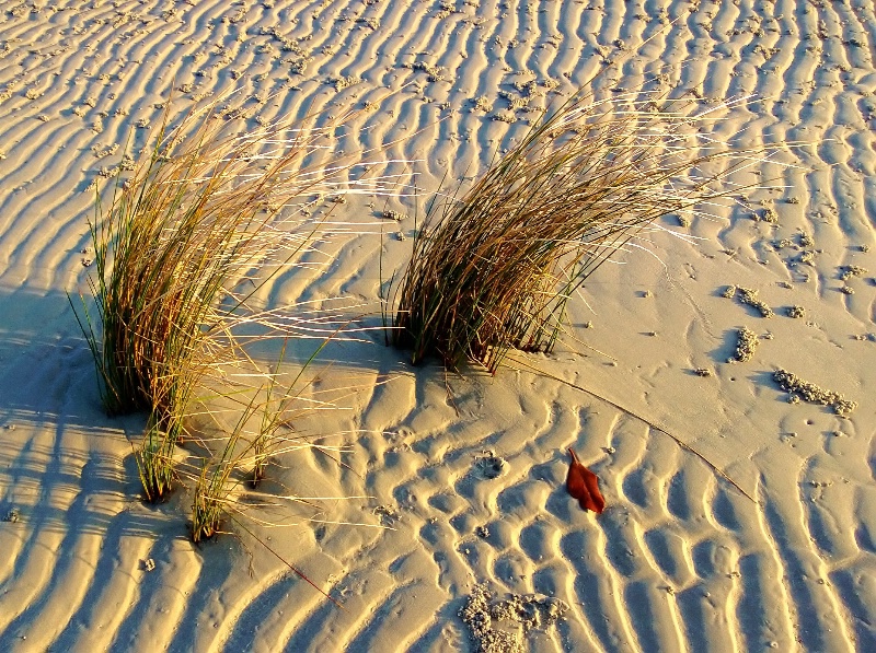 Low tide