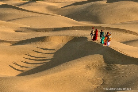 Life At Khuri Sand Dunes.