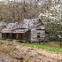 © george w. sharpton PhotoID# 14459736: Bud Ogle House, Spring, TN