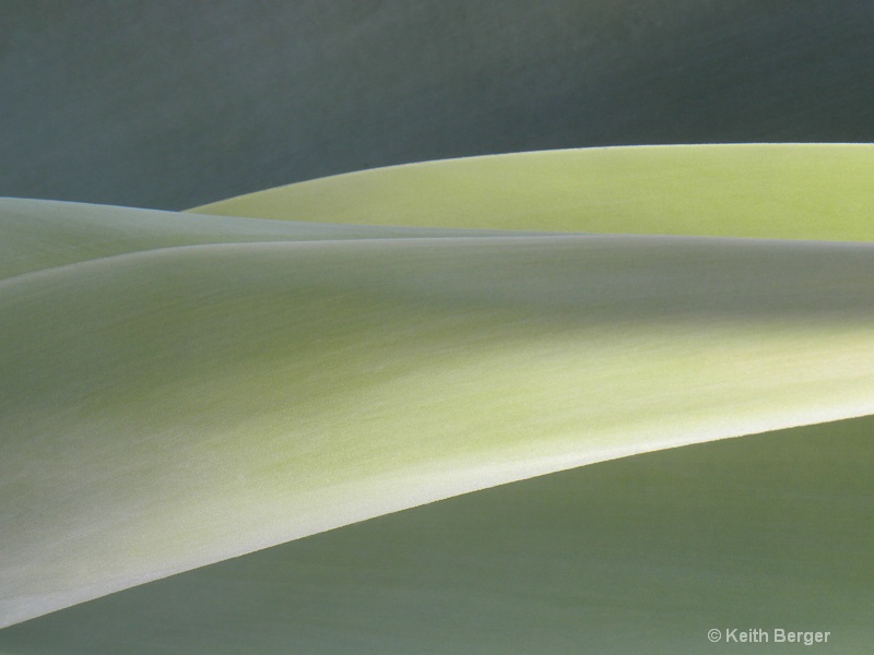 Agave Hills - ID: 14460910 © J. Keith Berger