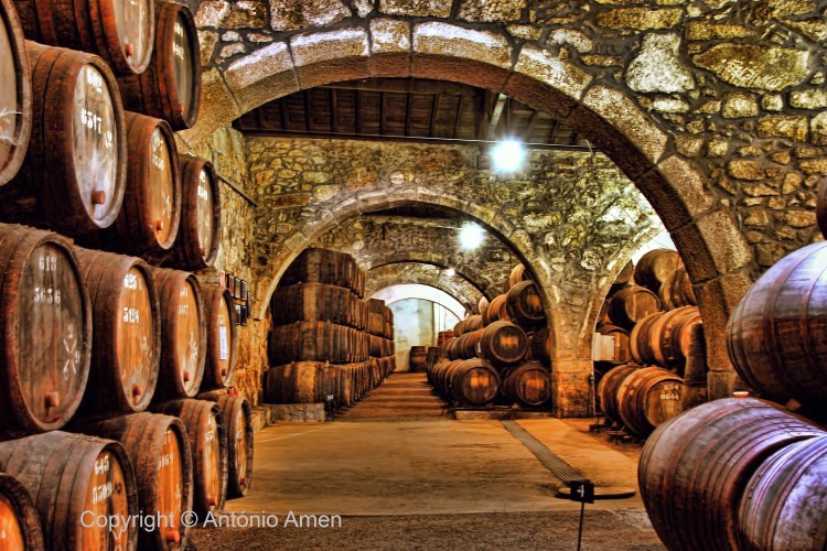 Port wine cellars