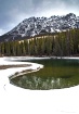 Yellowhead mounta...