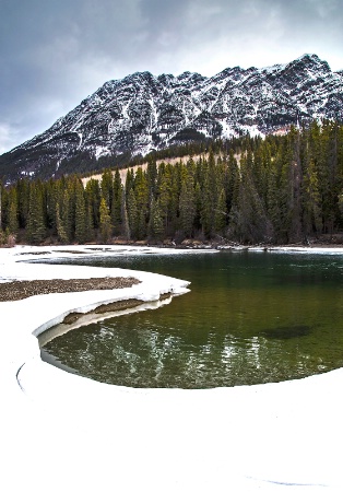 Yellowhead mountain 