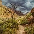 2Inside the Grand Canyon - ID: 14466644 © Fran  Bastress