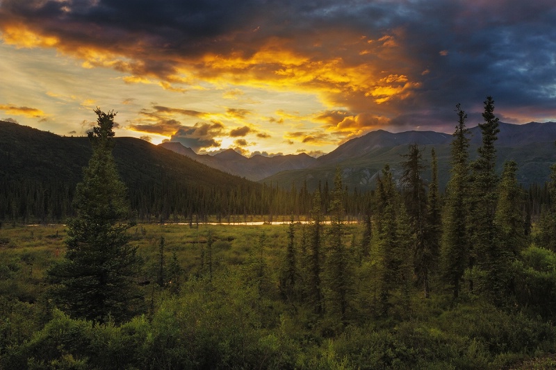 Denali Sunset