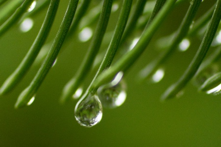 water dropletts