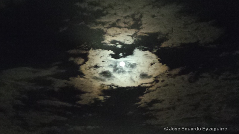 Perritos cuidando la Luna