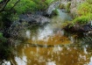Whispering water