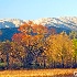 2Seasons of Cades Cove, TN - ID: 14475236 © Zelia F. Frick