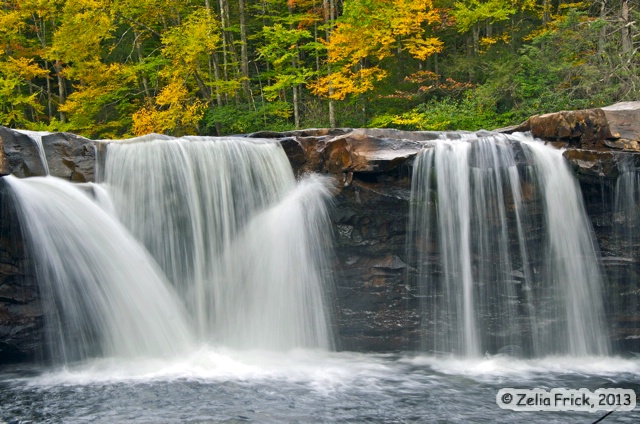 High Falls of Cheat Mountain - ID: 14475248 © Zelia F. Frick