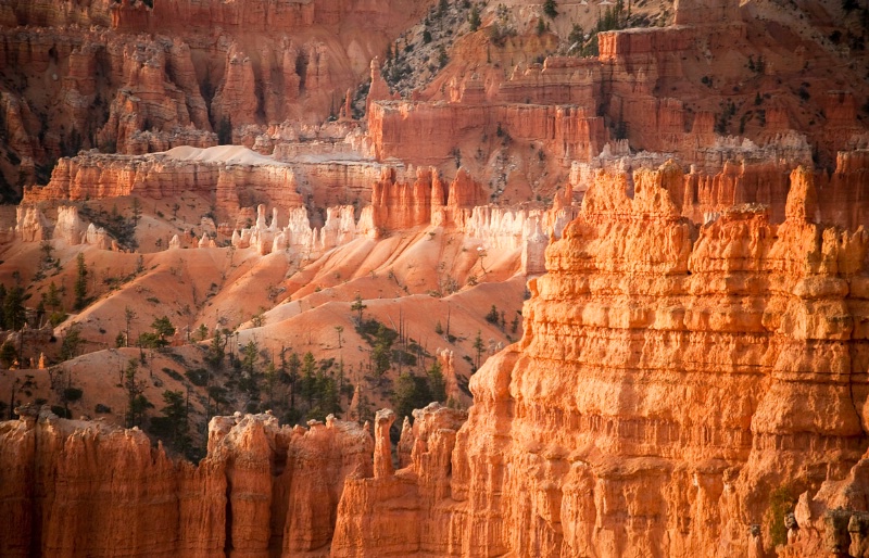 The HooDoos