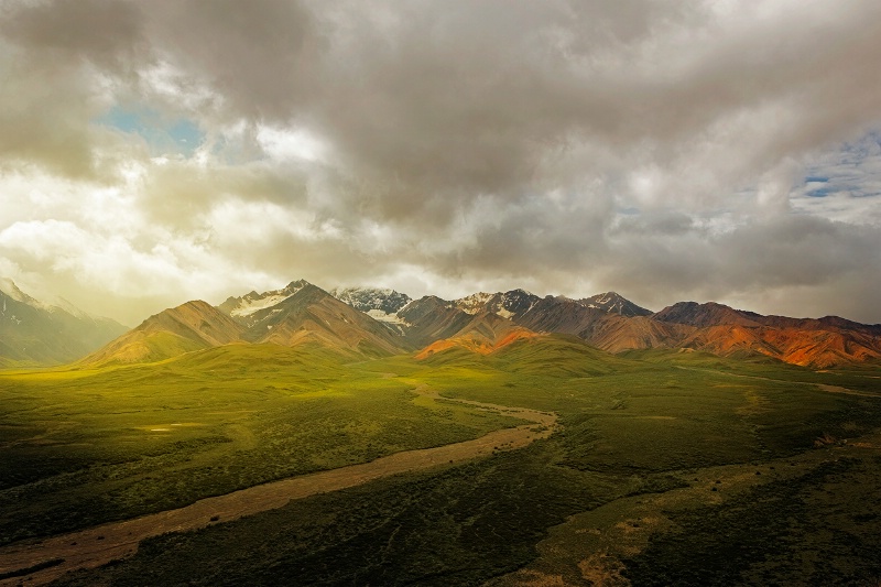 Denali Light