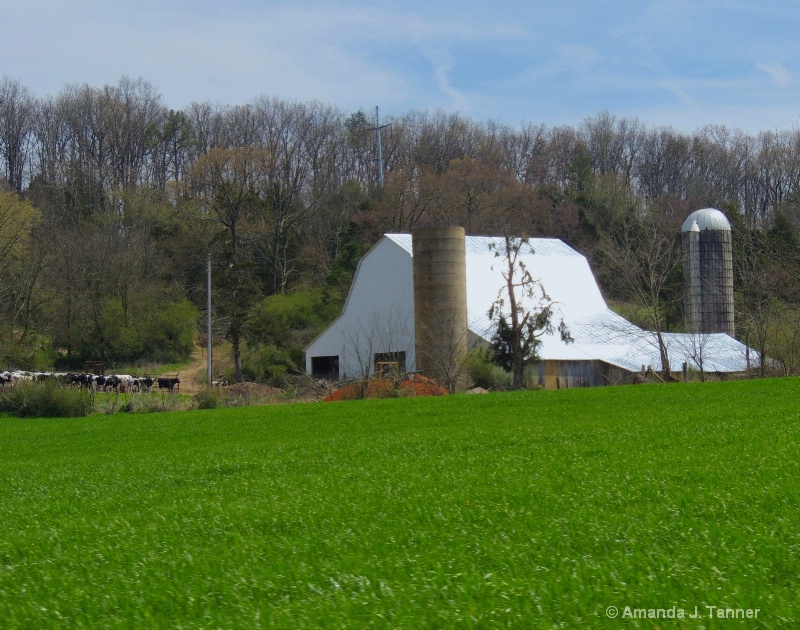 Country Living 