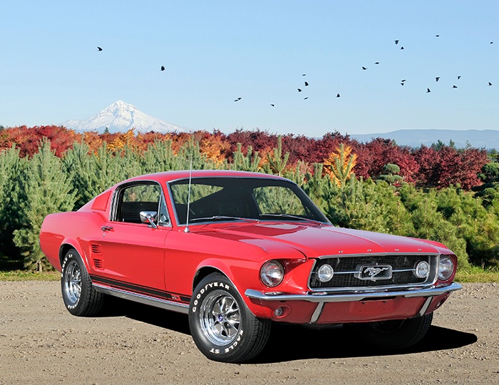 1967 Ford Mustang GT - ID: 14480555 © David P. Gaudin