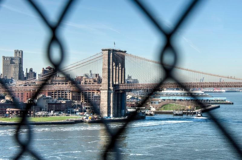 A glimpse through the fence