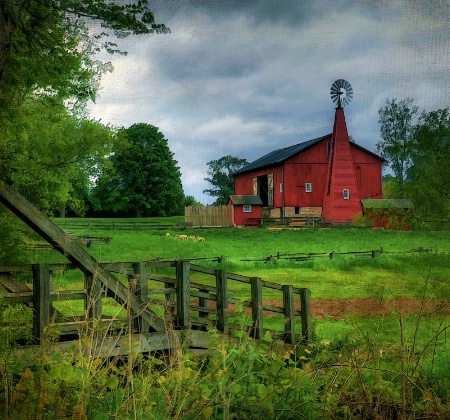 Across the Pasture