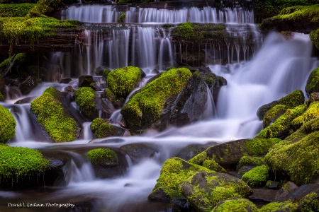 Creek near Sol Duc Falls