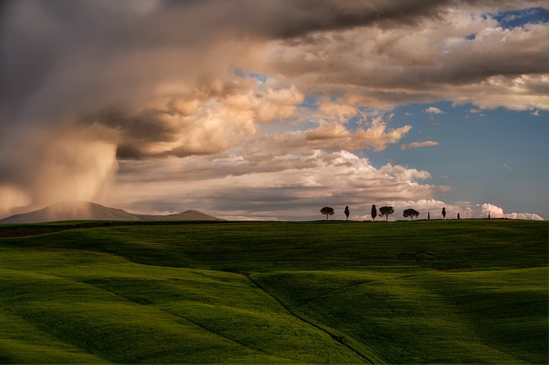 Rain In Tuscany