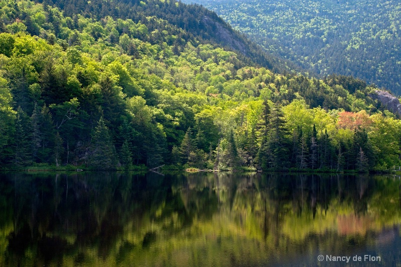 PD1 3 Saco River Reflections, White Mtns, NH