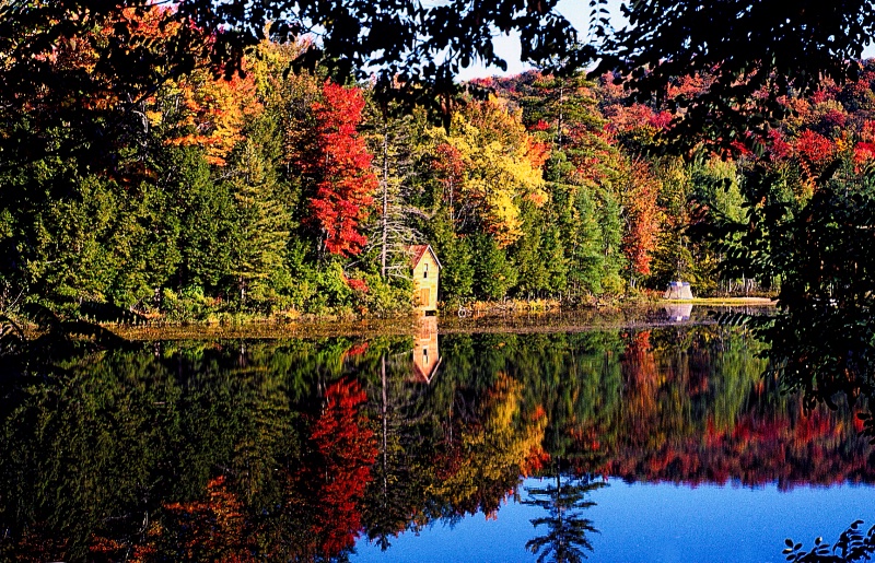 Adirondack Lake View