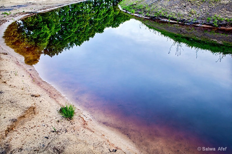 Gijzenveen Reflection 