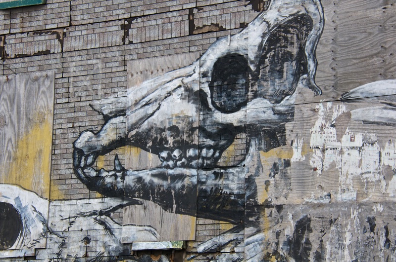 Animal Skull by Roa