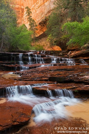 Left Fork Watefall