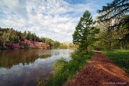 Path Along the Lake