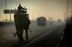 Elephant Highway ...