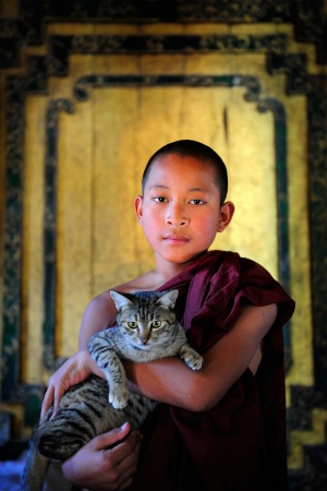 The Monk And Cat