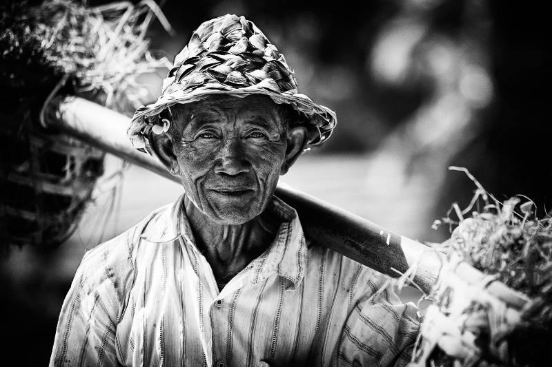 Bali farmer