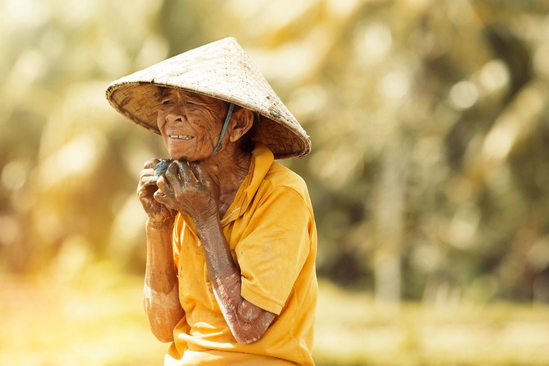 Hard work in the paddy fields