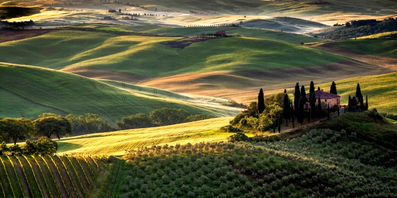 Tuscan Vista 