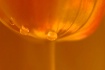 ~ Fire & Rain  ~
