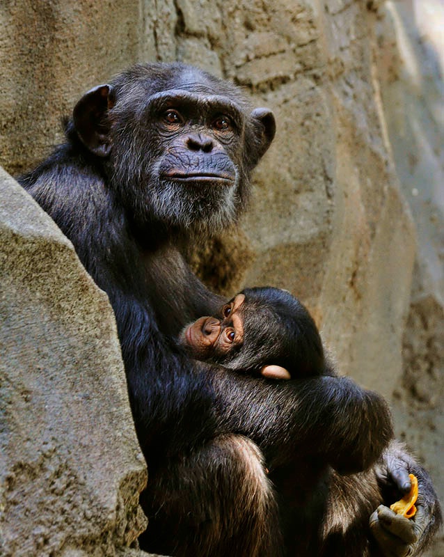 On The Ledge