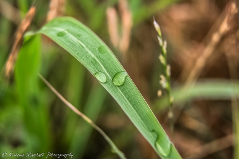 Droplets