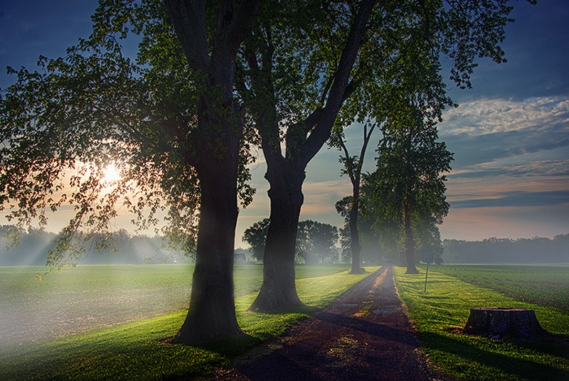 Morning Rays