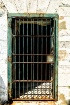 Cell Door