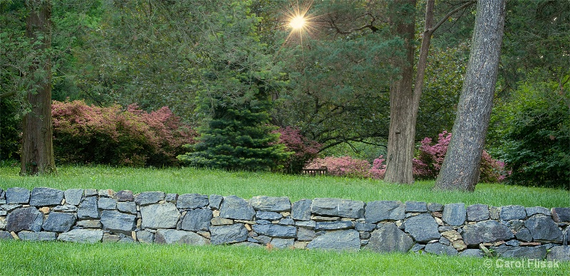 Layers and Morning Sun ~ Wnterthur - ID: 14506375 © Carol Flisak