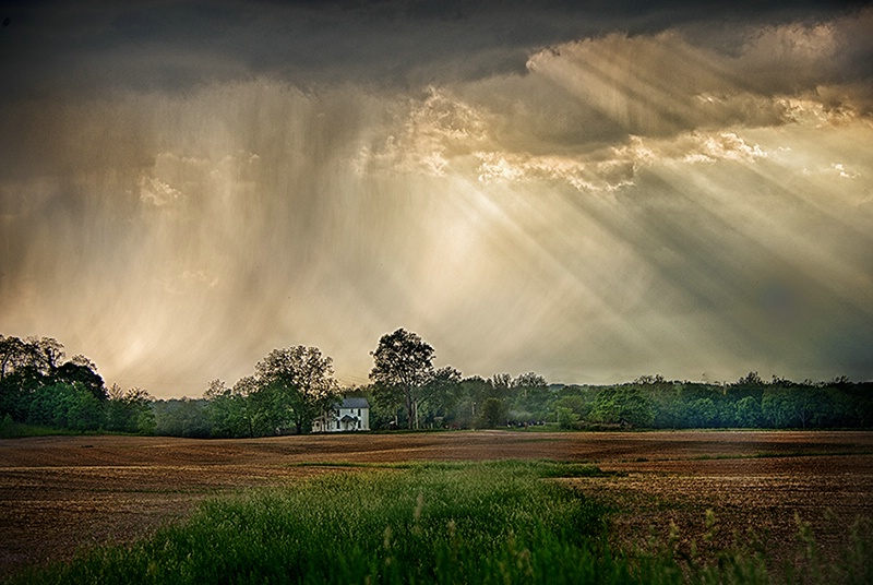 Storm Brewing