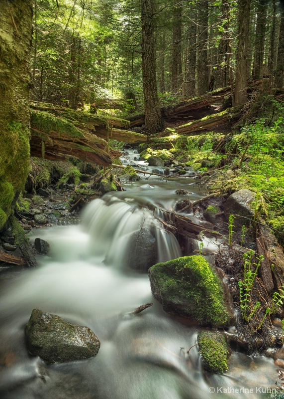 Mountain Stream