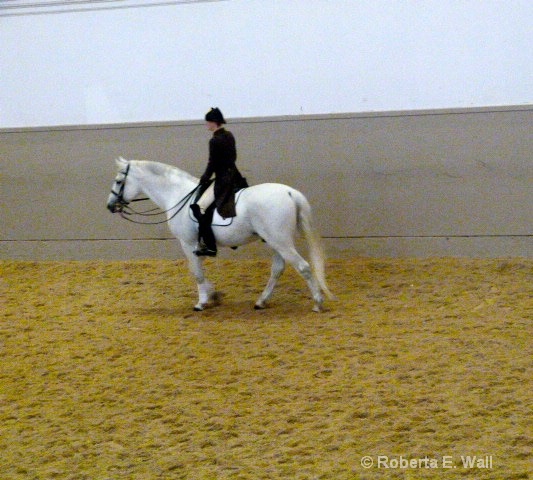 lipenstein horses training school