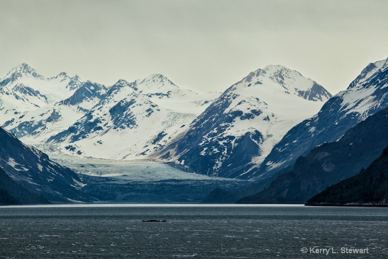 Glacier Bay National Park No. 4 - ID: 14509687 © Kerry L. Stewart