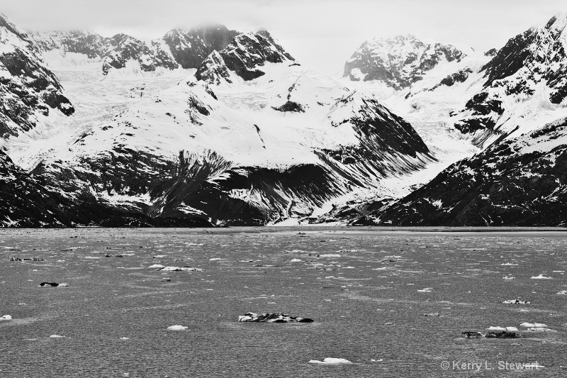 Glacier Bay National Park No. 9