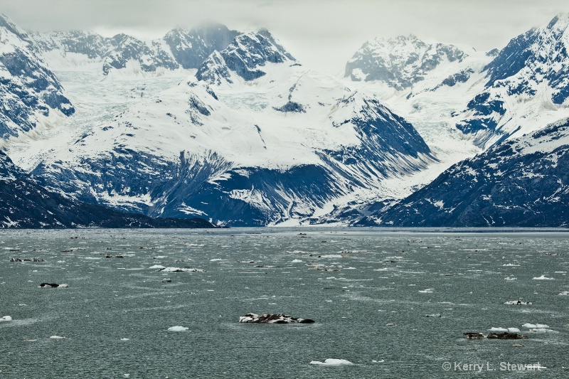 Glacier Bay National Park No. 10