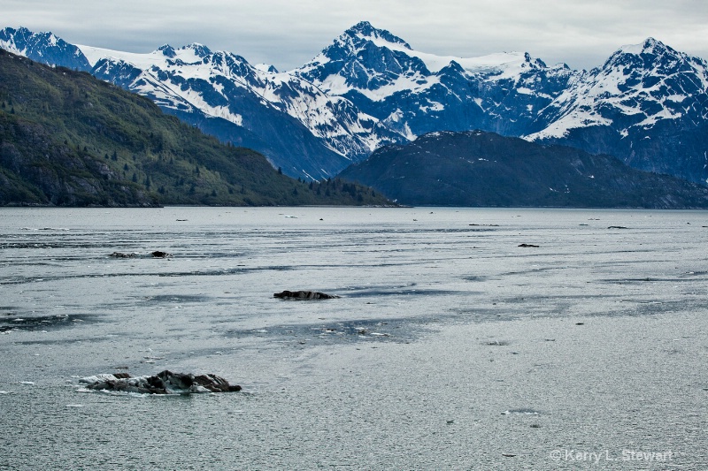 Glacier Bay National Park No. 11 - ID: 14509694 © Kerry L. Stewart
